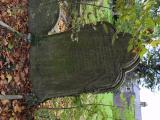 image of grave number 806944